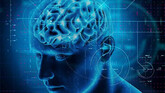 Un atlas molecular del cerebro revela claves compartidas de distintas enfermedades