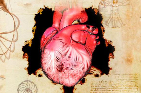 Leonardo adelantó hace 500 años las estructuras moleculares del corazón