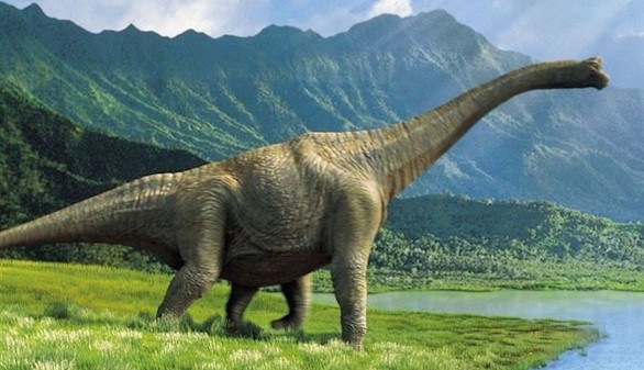 La mala suerte y no un meteorito acabó con los dinosaurios en la Tierra
