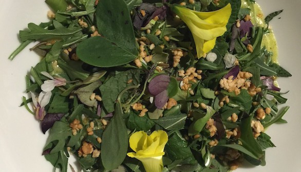 Crema de mostaza silvestre con habas y hierbas recién cortadas.