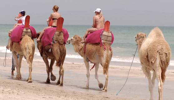 Túnez enamora en La 1 frente a un fuerte cine