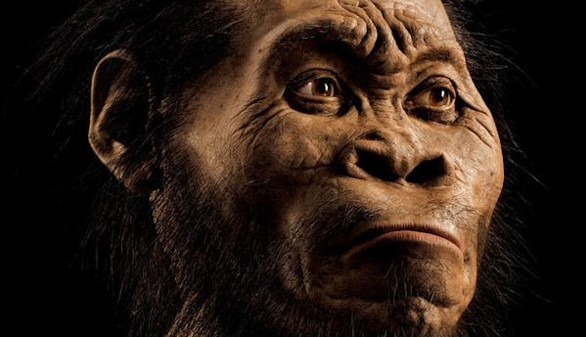 Hallada una nueva especie de homínido que podría ser el ejemplar más antiguo
