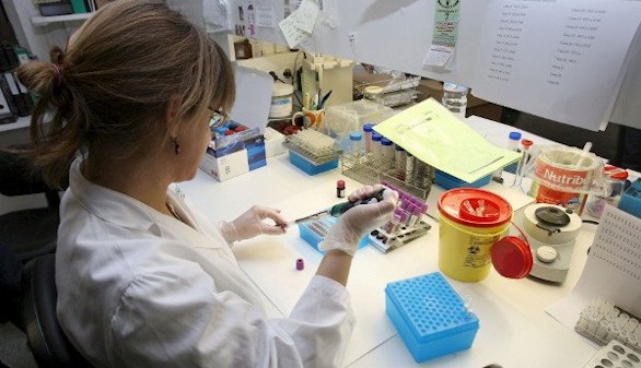 El cáncer es la peor lotería: un estudio apunta al azar como causa principal