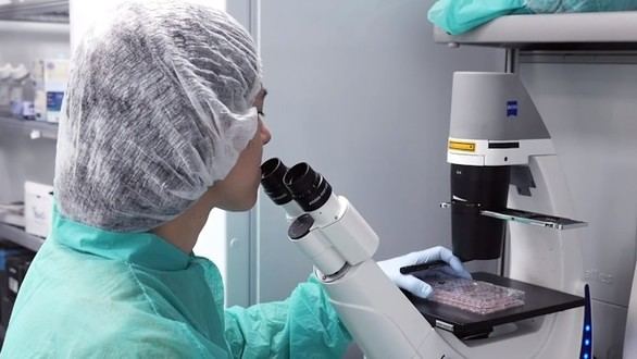 Descubierto un nuevo método para regular la plasticidad celular