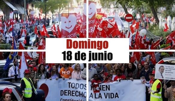 Varias ciudades de España celebran este domingo la VII Marcha por la Vida