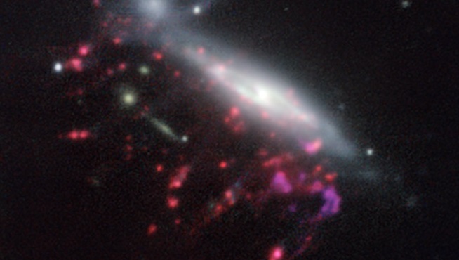 Los agujeros negros supermasivos se alimentan de medusas galácticas