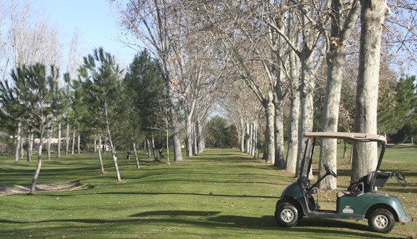 Golf para todos en la Comunidad de Madrid: 18 hoyos por 12 euros