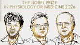 Premio Nobel de Medicina para los creadores de la optogenética