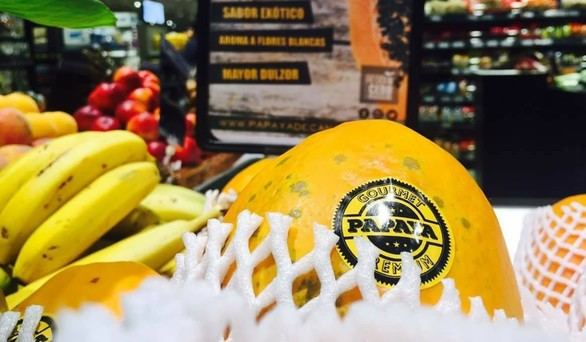 Crónica gastronómica. La singularidad de la papaya canaria