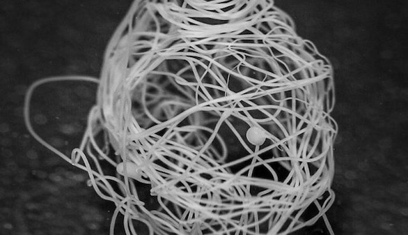 Crean una nueva seda de araña artificial, el material de las mil aplicaciones