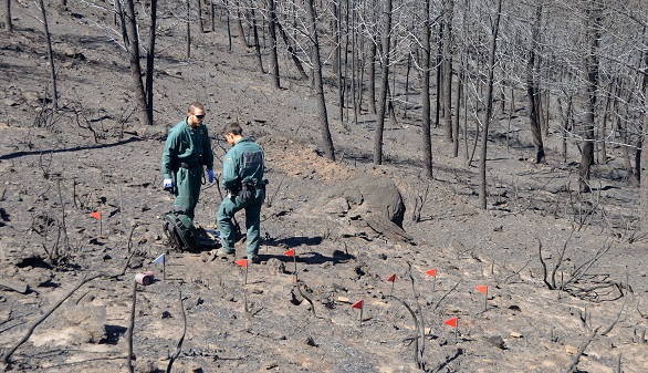El incendio en la Sierra de Gata, controlado