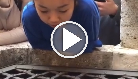 Vídeos virales. Dio con un pozo que embellecía su voz