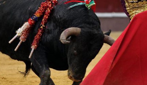 El toro en México. Una empresa no ideal, pero sí funcional
