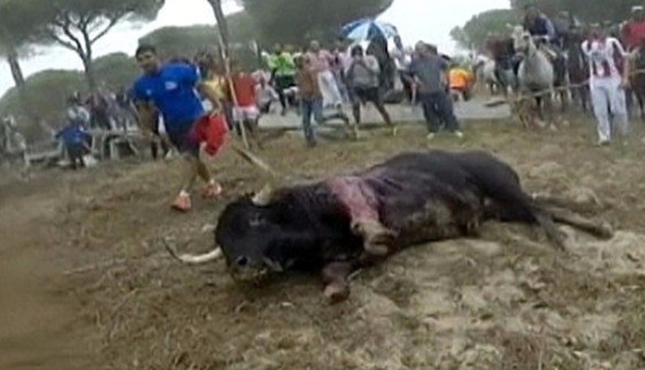 Obama contra la independencia