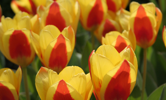 La primavera se estrena hoy envuelta en frío, nieve y abundantes lluvias