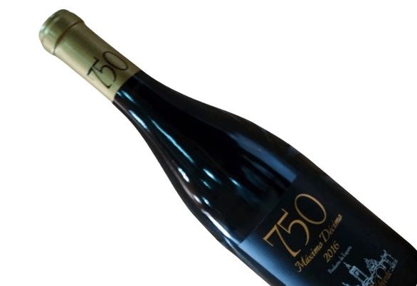Este es el vino tinto de Madrid que ha ganado el Gran Bacchus de Oro