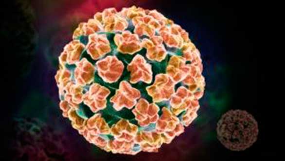 Confirmada la relación del virus del papiloma humano con el cáncer de orofaringe