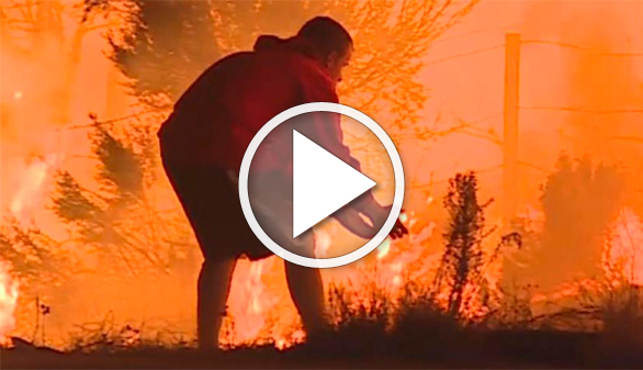 Vídeos Virales. ¿A qué animal salva este hombre de morir quemado?