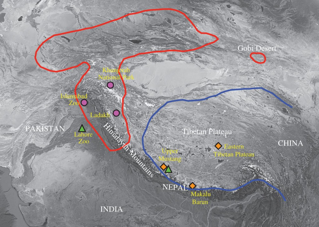 Distribución del oso pardo Himalaya y Tibetano y localidades de las muestras estudiadas. | Royal Society