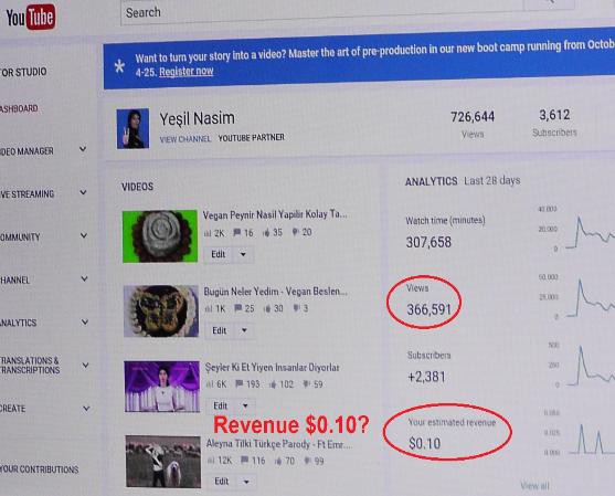 Captura exhibida en la web de Aghdam, en la que se queja de la monetización de sus vídeos.