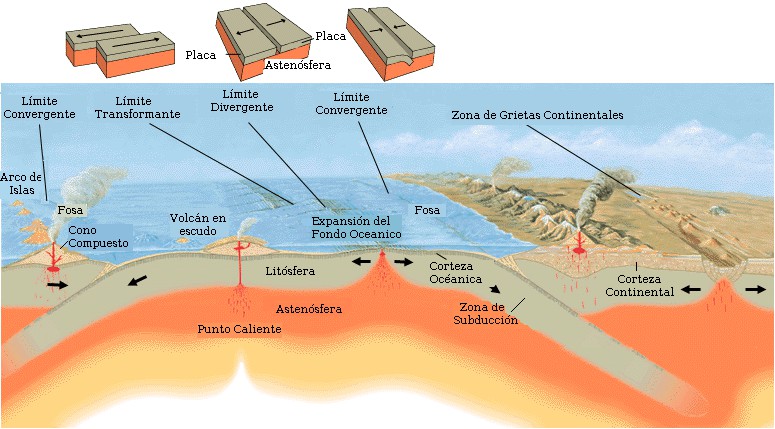 Estructuras litosféricas intervinientes en la tectónica de placas.