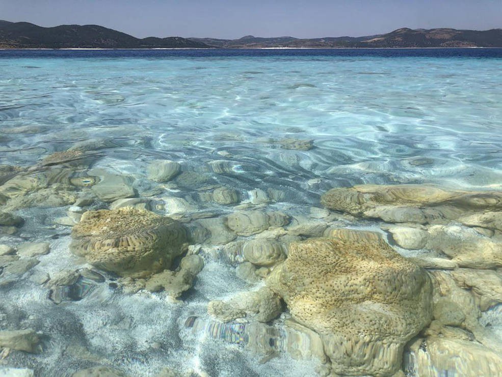 Los investigadores de la NASA buscan piedras similares a estos estrematolitos del lago Salda de Turquía, formados por la actividad bacteriana | NASA/JPL-Caltech