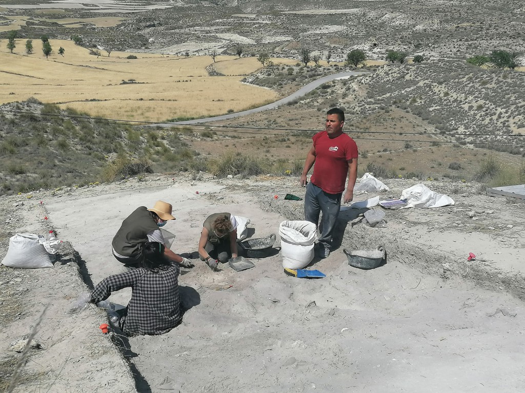 Universidad de Jaén