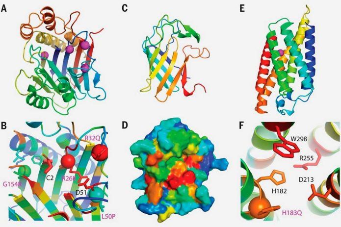 Los modelos RoseTTAFold proporcionan información sobre la función de 'Predicción precisa de estructuras e interacciones de proteínas utilizando una red neuronal de tres pistas', Baek et. Al, publicado en 'Science' el 20 de agosto de 2021