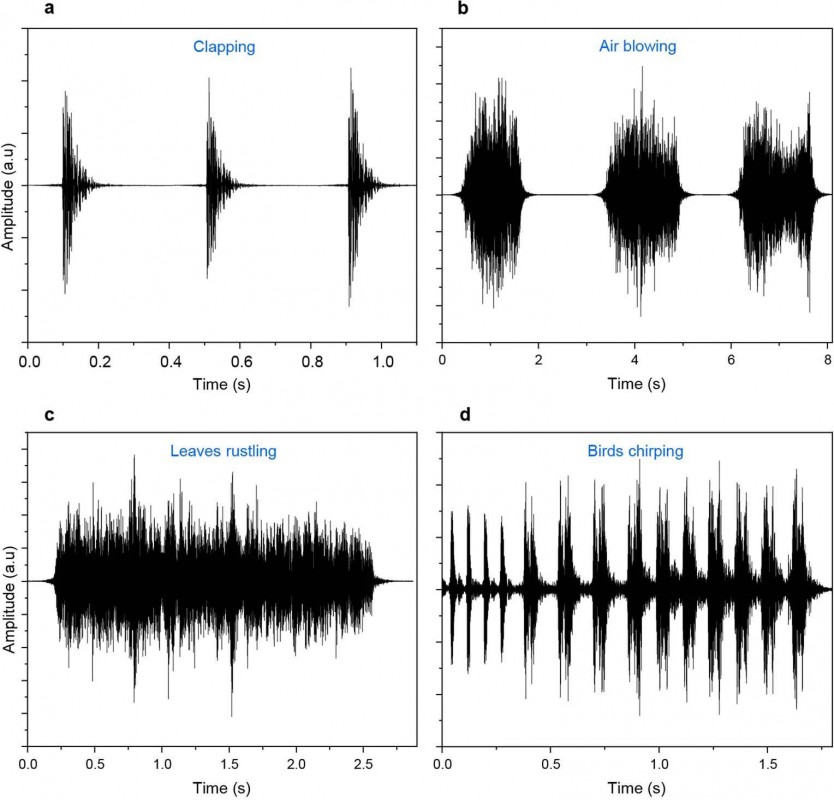 Ondas acústicas de un aplauso (a), un soplo de aire (b), el susurro de las hojas (c) y el canto de los pájaros, 'oídas' por el tejido. | MIT