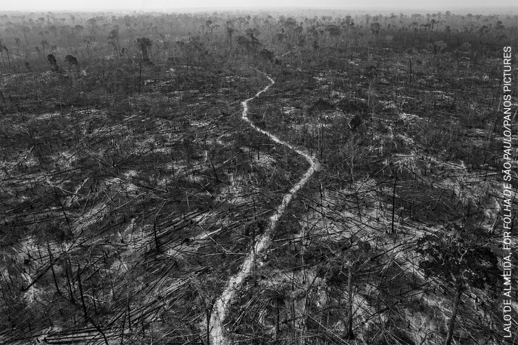 'Distopía amazónica' (© Lalo de Almeida, para Folha de São Paulo/Panos Pictures): la deforestación masiva es evidente en Apuí, un municipio emplazado a lo largo de la carretera Transamazónica, en el sur de la Amazonía, Brasil, el 24 de agosto de 2020. 