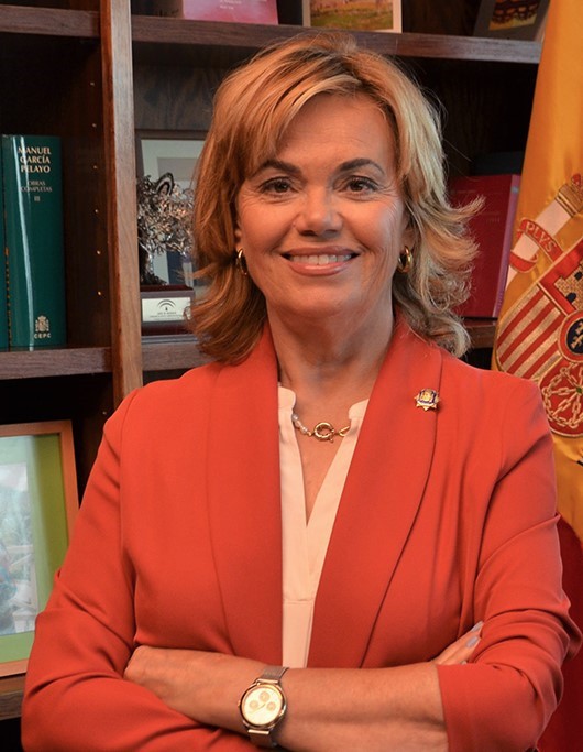 Inmaculada Montalbán, elegida como nueva vicepresidenta del Tribunal Constitucional (Imagen: TC)