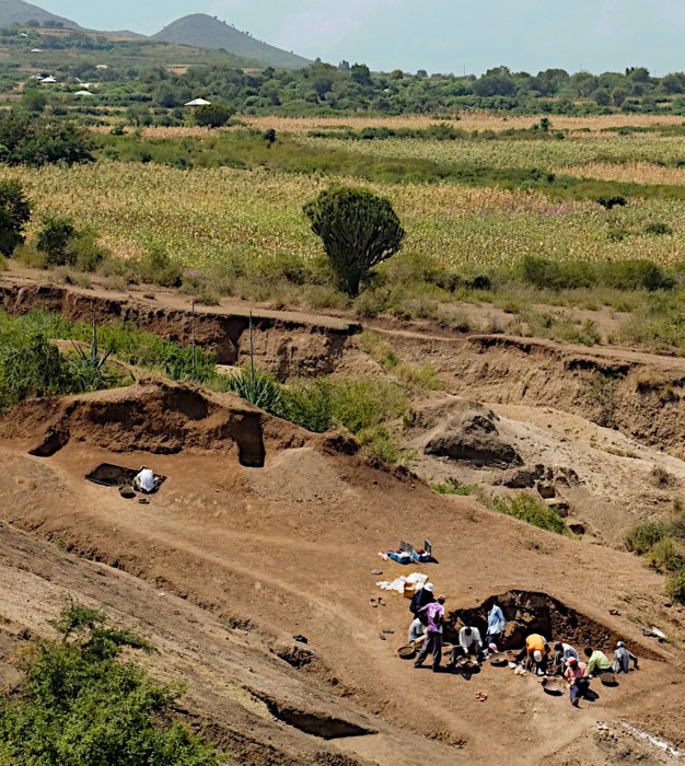 Las excavaciones en el sitio, llamado Nyayanga y ubicado en la península de Homa en el oeste de Kenia. Foto: JS Oliver, Proyecto de Paleoantropología de la Península Homa