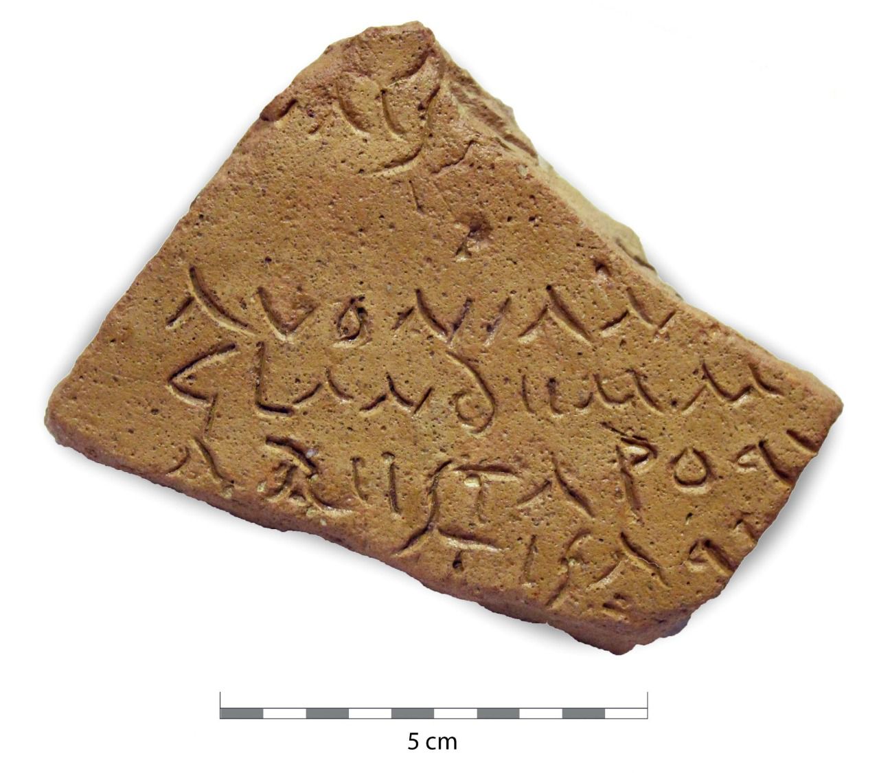 Foto cedida por la Universidad de Córdoba