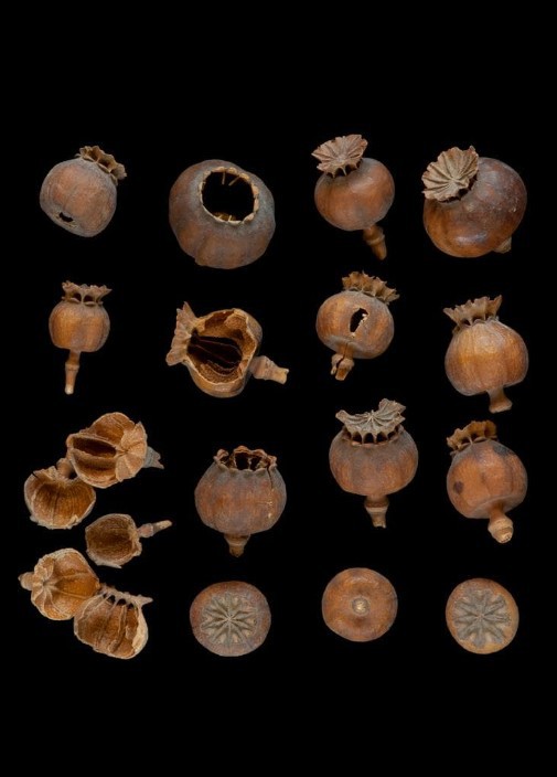 Foto: MAN/Verónica Schulmeister Guillén