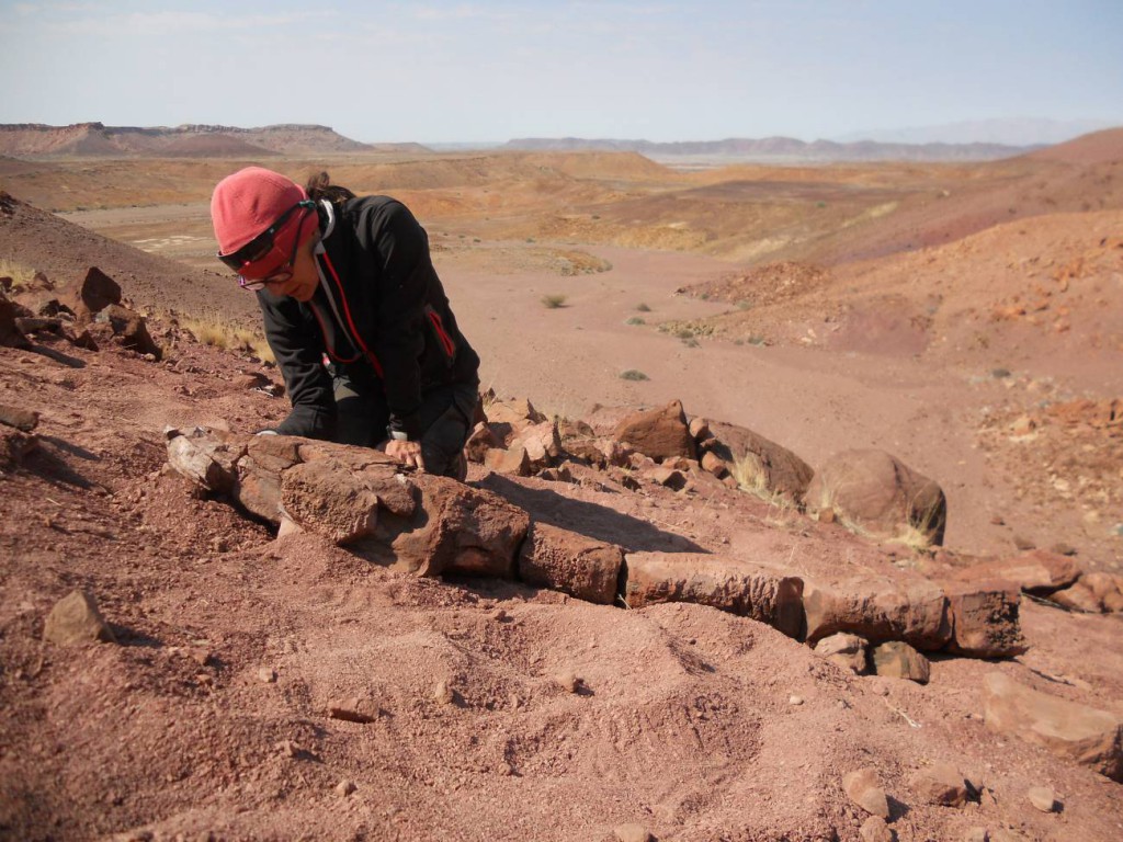  La investigadora Claudia Marsicano junto al fósil completo de 'Gaiasia jennyae' en Namibia. / Roger M.H. Smith