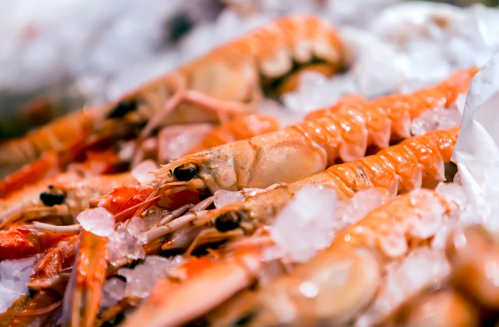 Mercamadrid es el segundo mercado más importante del mundo de pescados y mariscos frescos. (Mercamadrid)