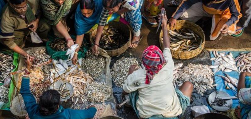 10:00 'FISH MARKET', SAUMALYA GHOSH, INDIA