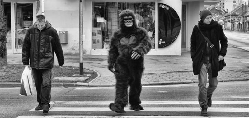 11:00 'ABBEY ROAD', IVANA HENGL, CROACIA
