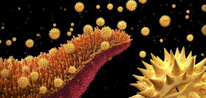 ILUSTRACIÓN DIGITAL DE UNOS GRANOS DE POLEN