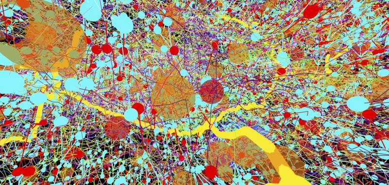 RECONSTRUCCIÓN DE PARTE DEL SISTEMA NERVIOSO DE UNA LARVA DE LA MOSCA DE LA FRUTA