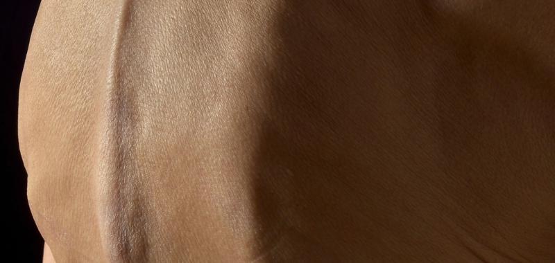 LA ESPALDA DE UNA MUJER ANCIANA CON CIFOSIS O CURVATURA FISIOLÓGICA DE LA COLUMNA VERTEBRAL