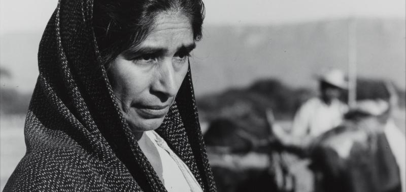 Sin título (mujer y cabestro)