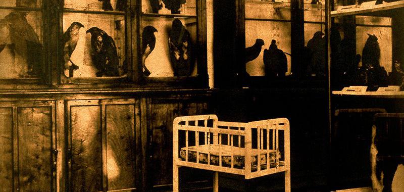 No quería hablar de esos años. De la serie Jerarquías de la intimidad. El encuentro (2004)