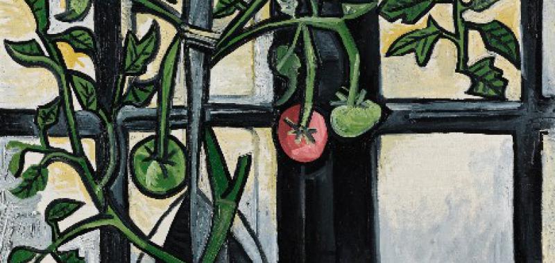 Planta de tomate, de Picasso