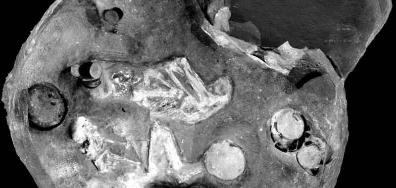 Fotografía de José Latova