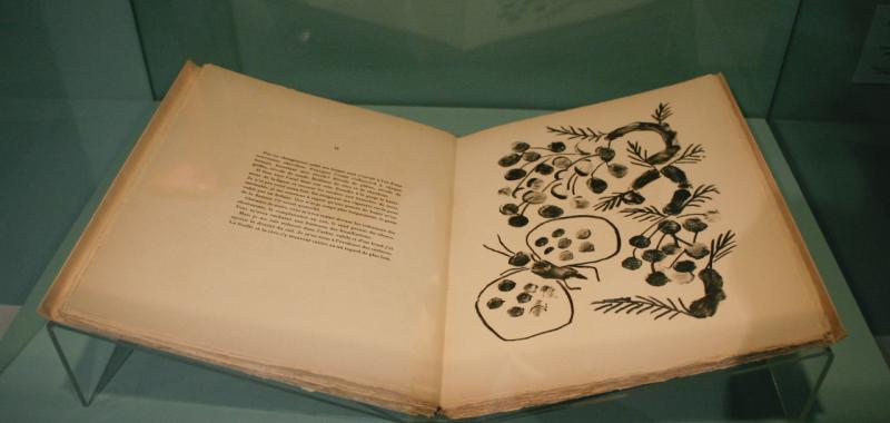 Exposición Picasso y el Mediterráneo