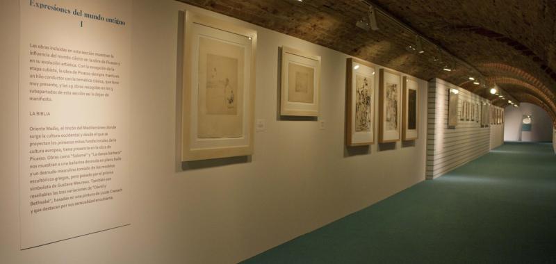 Exposición Picasso y el Mediterráneo