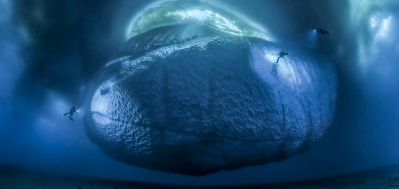 La ganadora en la categoría La Tierra: "The ice monster" 