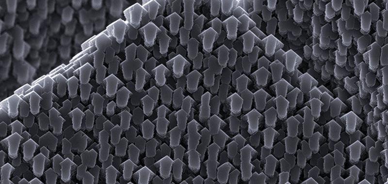  El relieve en forma de flecha en este cristal de calcita, representado por un microscopio electrónico de barrido, está gobernado por una proteína que se une a la superficie del cristal y la modela a medida que crece.