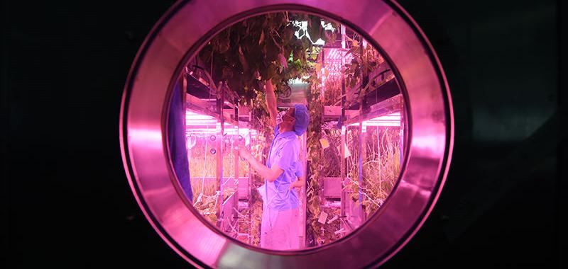  En mayo, los voluntarios fueron sellados en las instalaciones de investigación del Lunar Palace 1 de China en Beijing, diseñadas para probar los sistemas de soporte vital para una base en la Luna.